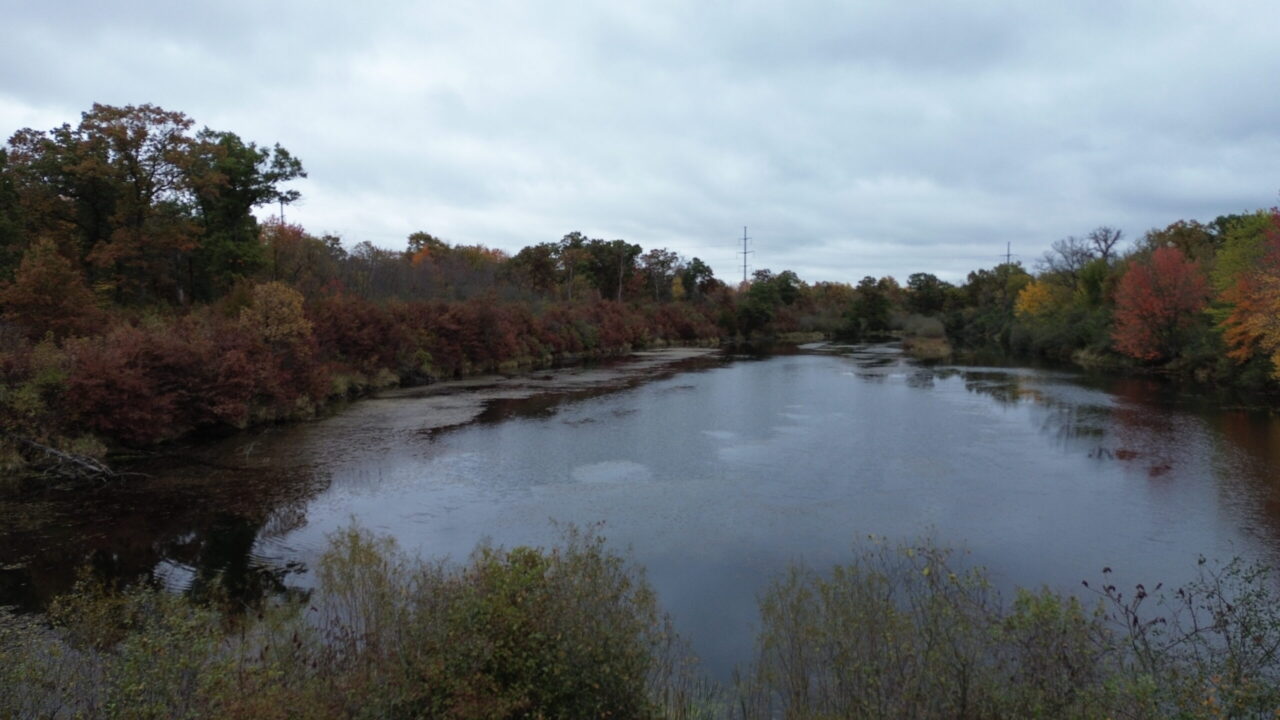 autumn lake landscape